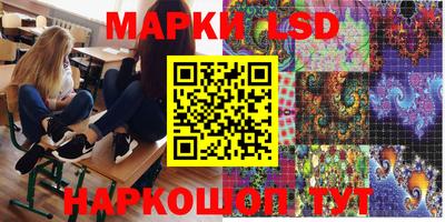 шишки Кимры