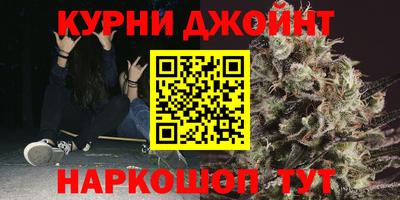 шишки Кимры