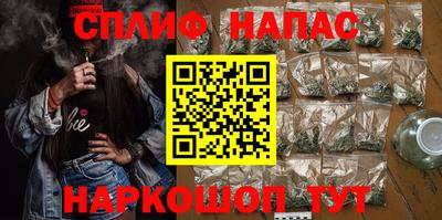 шишки Кимры