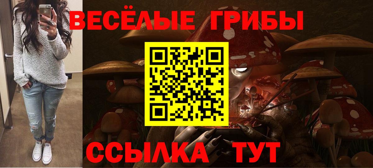 Котельники  Галлюциногенные грибы ЛСД  Вход с VPN 